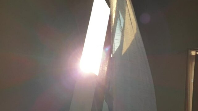 Sheer white curtains flutter gently in the breeze as sunlight pours through the window, creating a soft, airy atmosphere filled with warmth and natural motion