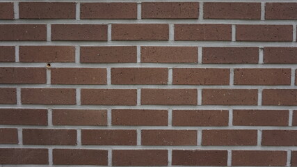 The rhythmic pattern of brown bricks offers a timeless aesthetic, bringing warmth and structure to any space