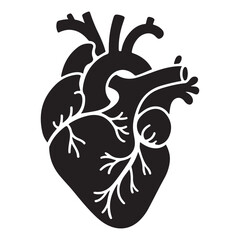 human heart anatomy silhouette