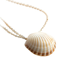 Elegant Minimalist Shell Necklace Featuring One Str Isolated on Transparent Background