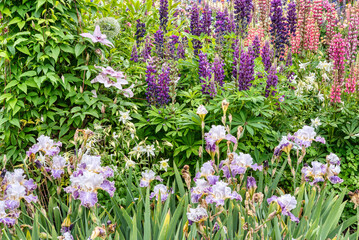 Fototapete bei efototapeten.de bestellen   