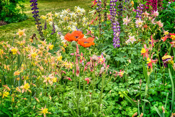 Fototapete bei efototapeten.de bestellen   