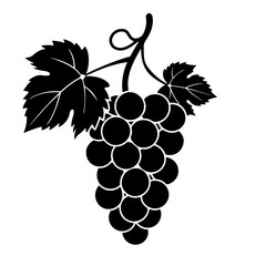 Fototapeta premium graps image