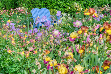 Fototapete bei efototapeten.de bestellen   