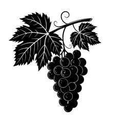 Obraz premium graps image