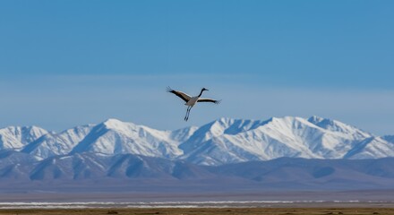 Fototapeta premium Majestic Crane in Flight Over Snow-Capped Mountains A Stunning Wildlife Photography