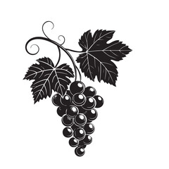 Obraz premium Grape silhouette vector image