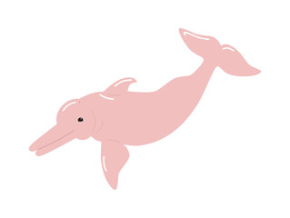 Boto-cor-de-rosa isolated illustration. Pink river dolphin white background vector.