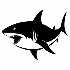 shark vector illustration