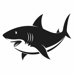 shark vector illustration