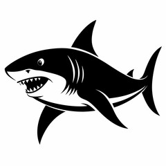 shark vector illustration