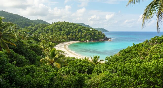 Panoramic Photo of Tropical Beach and Lush Green Vegetation Landscape