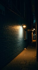 Photo of Dark Narrow Alleyway at Night Illuminated by Street Lights