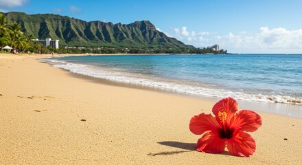 Photo of a Red Hibiscus Flower on Sandy Beach with Ocean Horizon View