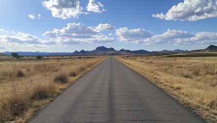 Empty road stretches into a vast, dry landscape under a partly cloudy sky