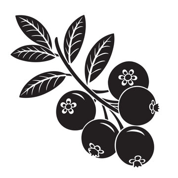 recommend clip art: Cranberry silhouette vector image