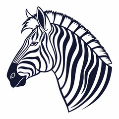 zebra vector illustration