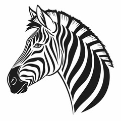 zebra vector illustration