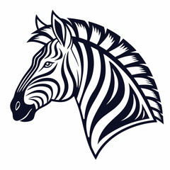 zebra vector illustration