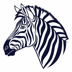 zebra vector illustration