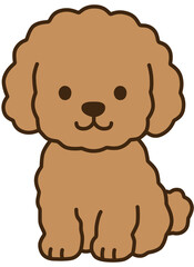 Obraz premium Poodle