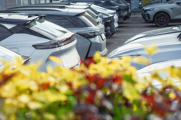 Fototapety na wymiar - Fototapeta24.pl