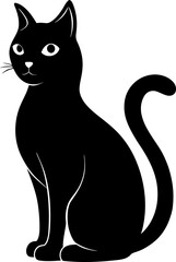 black cat on white background