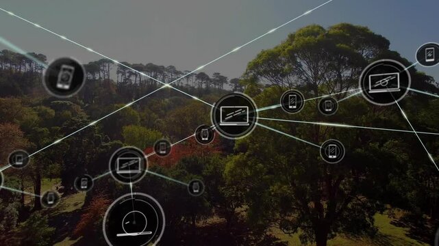 Opening with sunlit park view, network nodes growing and linking devices to show connectivity