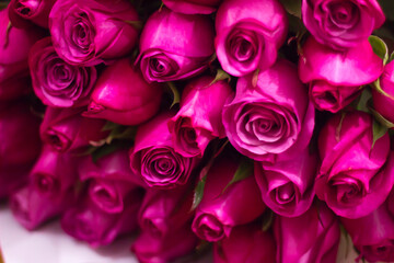 Bouquet of Pink and Red Roses. Freshness and Beauty