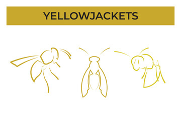 vector illustration of a set of a bee with outline style, yellow jacket logo vector