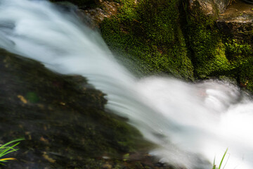 flowing stream in the mountain valley