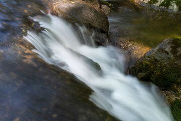 flowing stream in the mountain valley