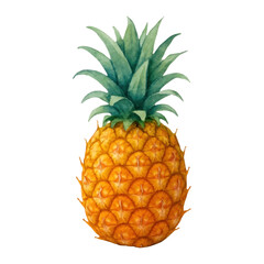 Fototapeta premium PNG Vibrant watercolor pineapple illustration.