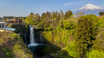 Obraz premium Shiraito Falls with Mount Fuji