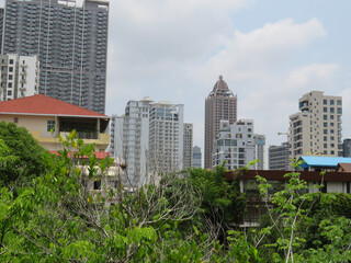 View of Phnom Penh buildings behind tropical trees and foliage