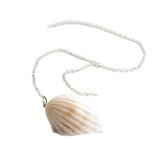 Elegant Minimalist Shell Necklace Featuring One Per Isolated on Transparent Background