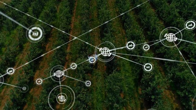Woman holding tablet tapping and spawning data network over orchard for farm monitoring