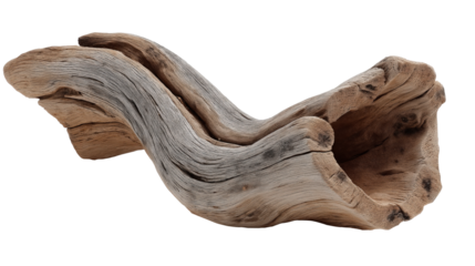 Twisted driftwood with natural weathered texture on white background
