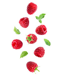 falling raspberries with mint leaves on transparent background.