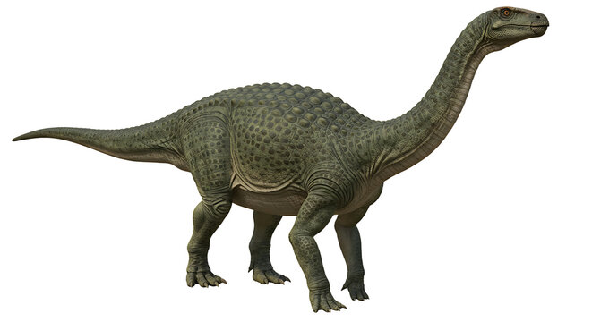 Detailed Green Plateosaurus Dinosaur with Long Neck and Scaly Skin Texture