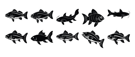 Black and White Vector Fish Illustrations Diverse Species Collection