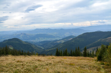 Beautiful panoramic view of lush mountain valleys, evergreen forests, and distant peaks, surrounded by a serene ambiance under a partly cloudy sky. Carpathian Mountains, Ukraine
