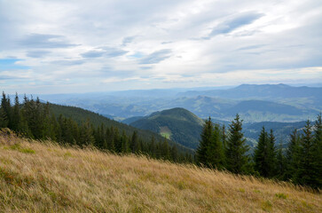 Beautiful panoramic view of lush mountain valleys, evergreen forests, and distant peaks, surrounded...