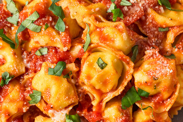 Homemade Tortellini Pasta with Tomato Sauce