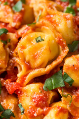 Homemade Tortellini Pasta with Tomato Sauce
