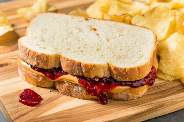 American Homemade Peanut Butter and Jelly Sandwich