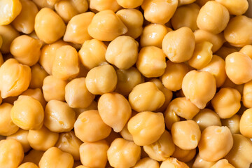 Healthy Organic Raw Canned Garbanzo Bean Chickpeas