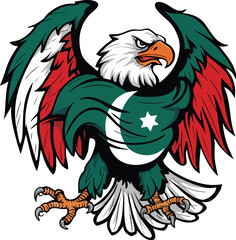 Eagle wear Pakistani clothes scarf
