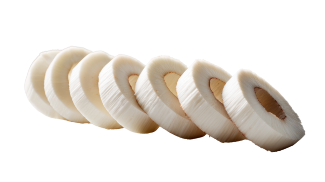 Rolls of masking tape arranged in a line, white isolate background.