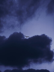 storm clouds over the city